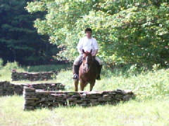 Picture028.jpg